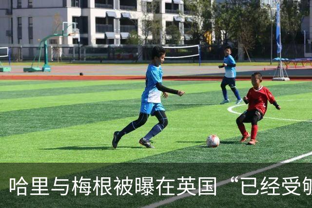 哈里与梅根被曝在英国“已经受够了”，坦言想念美国加州的“家”