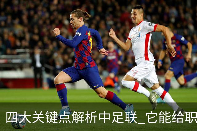 四大关键点解析中足联 它能给职业联赛带来哪些改变?