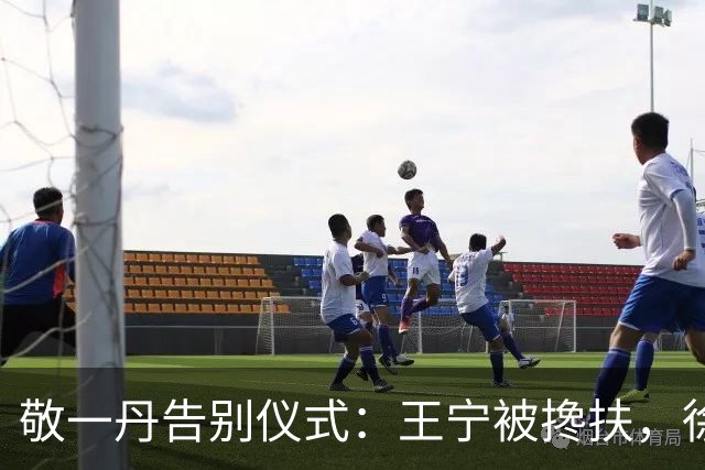 敬一丹告别仪式：王宁被搀扶，徐俐痛哭，身为好姐妹的她却没到场