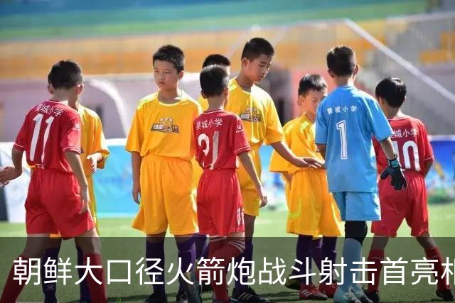 朝鲜大口径火箭炮战斗射击首亮相，金正恩出席