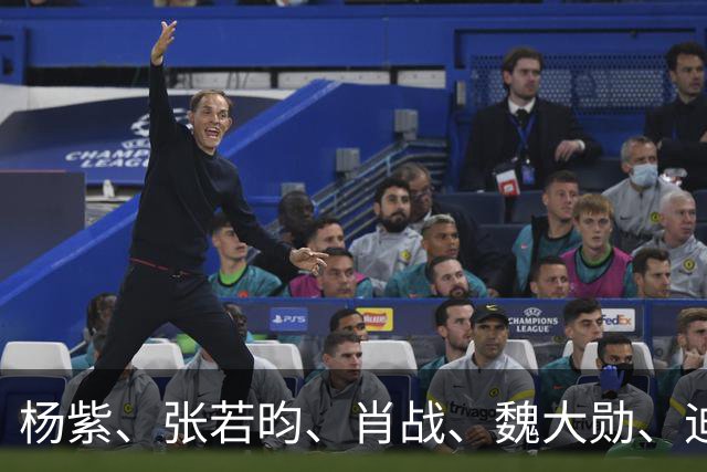 杨紫、张若昀、肖战、魏大勋、迪丽热巴、陈都灵、胡先煦、赛那