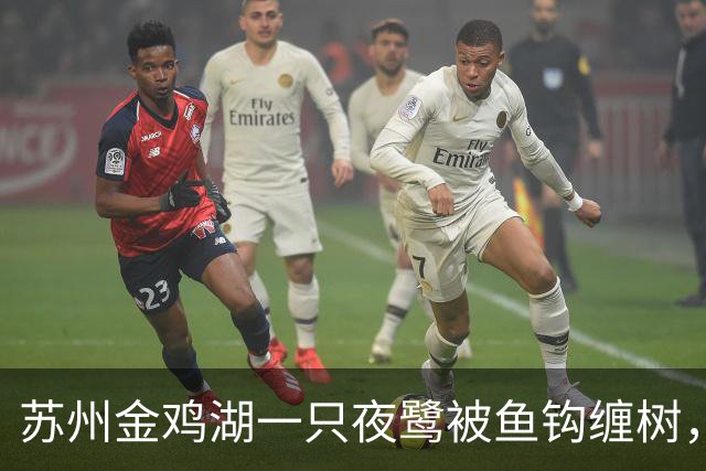 苏州金鸡湖一只夜鹭被鱼钩缠树，市民爬树救下，“有6个鱼钩，脚和翅膀全被钩住”，公园称此处并非垂钓点