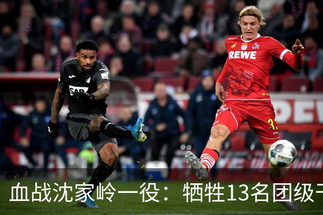 血战沈家岭一役：牺牲13名团级干部，8700余名战士倒在新中国建立前夜